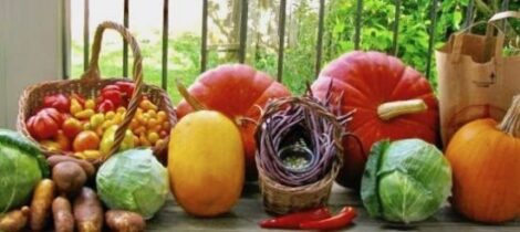 Feeding Ourselves and Others Sustainably Image